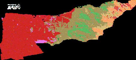 Animación de evolución de cobertura vegetal en La Florida