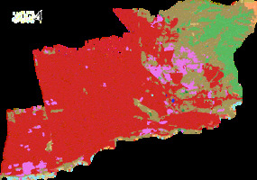 Animación de evolución de cobertura vegetal en Puente Alto