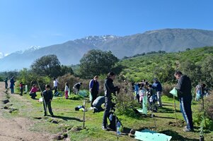 Jornada de reforestación comunitaria en el Bosque Panul